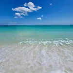 Pelican Walk 404